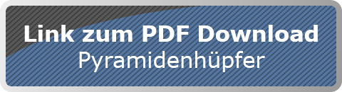 Link zum PDF Download